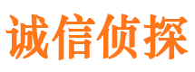 船营诚信私家侦探公司